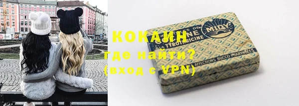индика Алексин