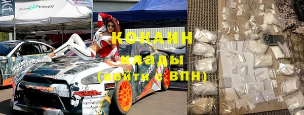 индика Алексин