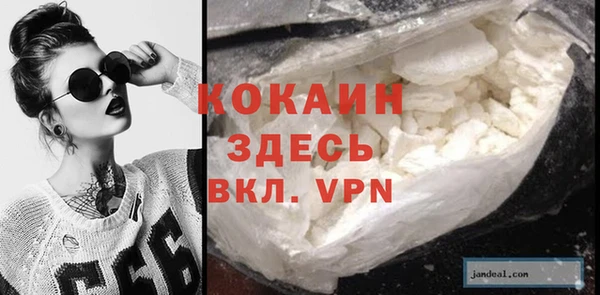 индика Алексин