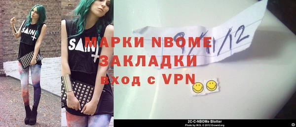индика Алексин