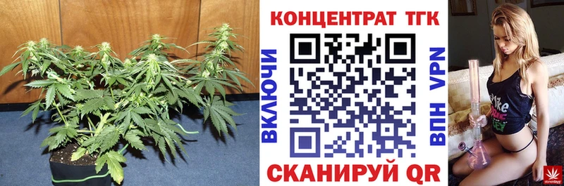 ТГК вейп  купить наркотики сайты  Грайворон 