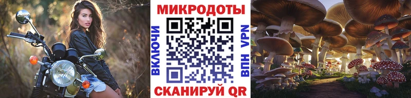 купить  сайты  гидра как зайти  Псилоцибиновые грибы прущие грибы  Грайворон 